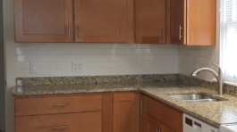 blouch-project-cover