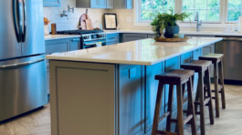 develin-project-cover