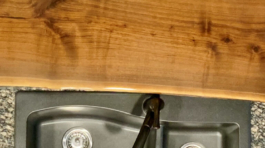 hartzell-project-cover