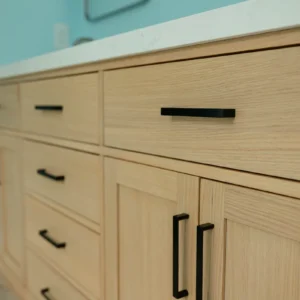 Kier Master Suite - Inch by Inch Construction